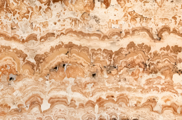 Stromatolithe fossilisé en CT (détail d'une surface polie)